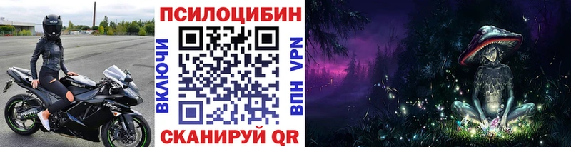 Псилоцибиновые грибы GOLDEN TEACHER  где можно купить наркотик  Краснознаменск 